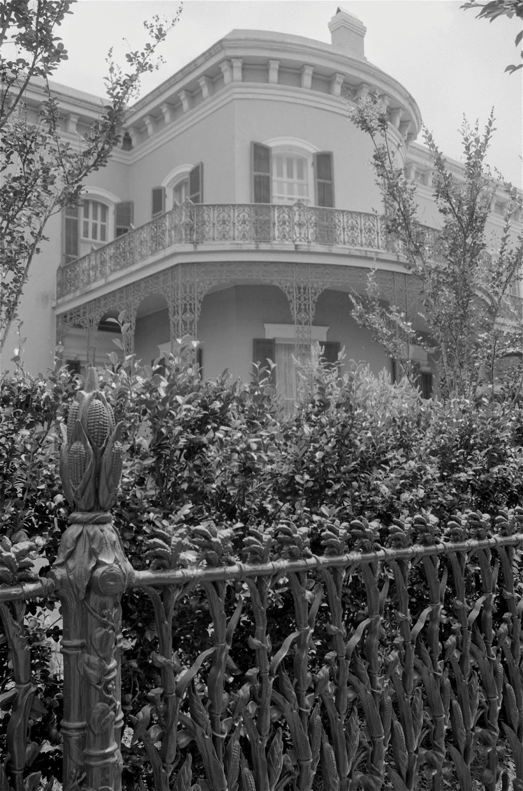 Creole Jambalaya The Louisville Chef