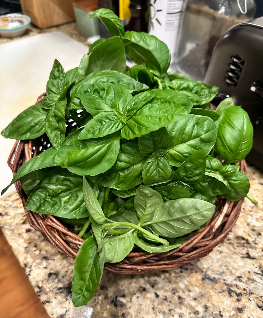 A close-up view of a wicker basket filled with fresh, vibrant Genovese basil leaves on a kitchen countertop.